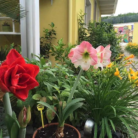 La Casa (adults Only) باري