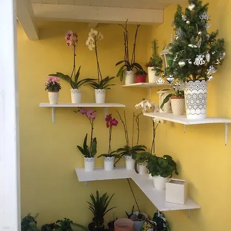 La Casa (adults Only) 3*