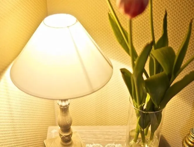 Oda ve Kahvaltı La Casa (adults Only)